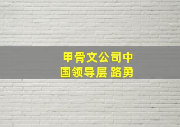 甲骨文公司中国领导层 路勇